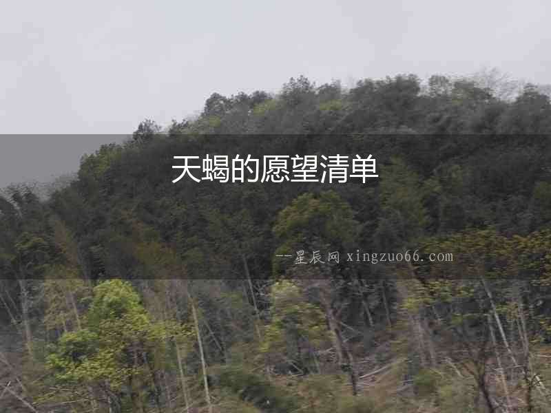天蝎的愿望清單