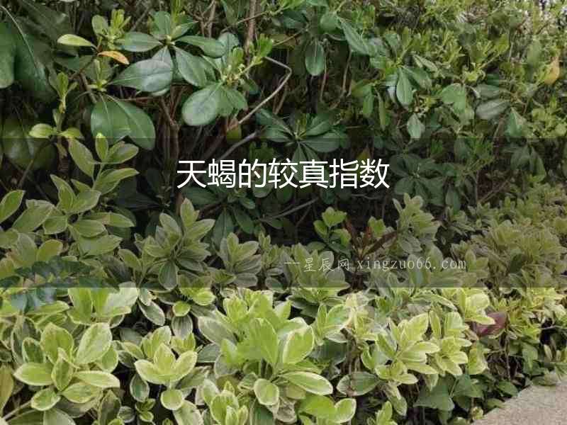 天蝎的較真指數(shù)