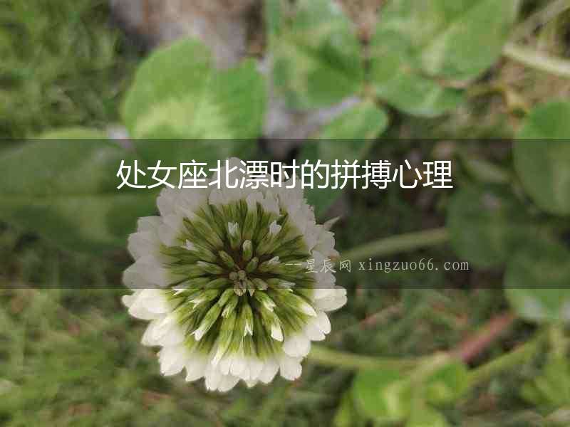 處女座北漂時的拼搏心理