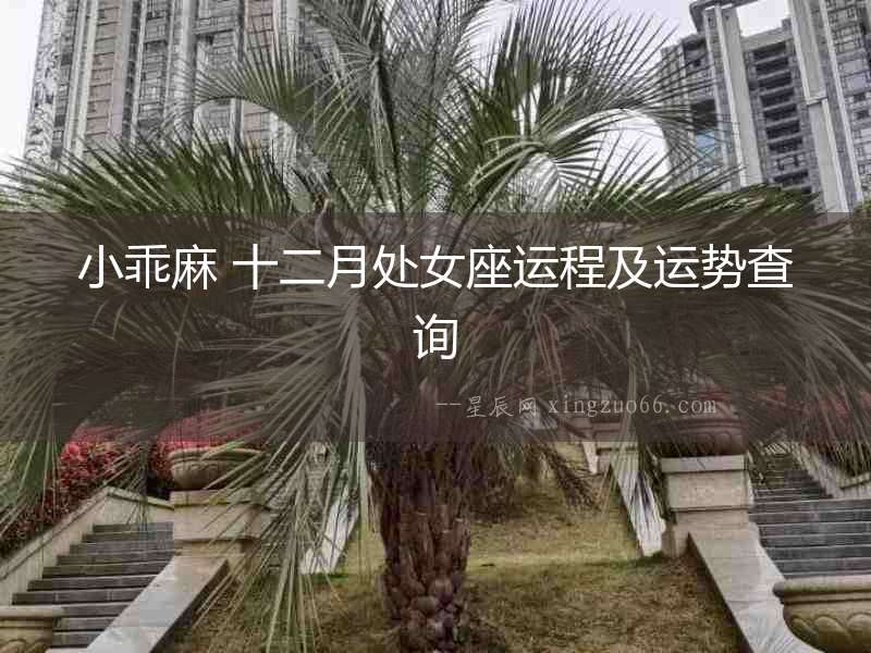 小乖麻 十二月處女座運程及運勢查詢