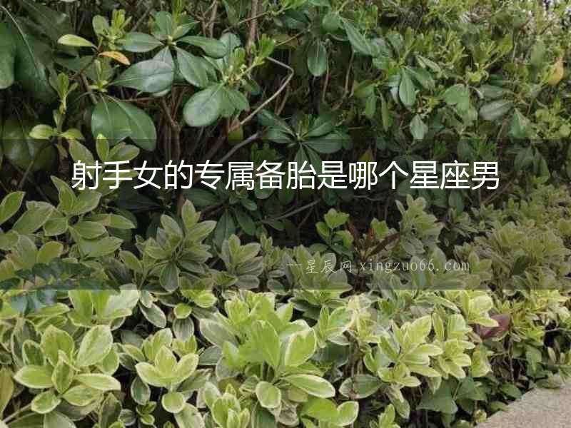 射手女的專屬備胎是哪個(gè)星座男