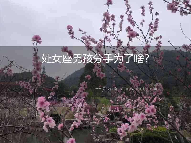 處女座男孩分手為了啥？
