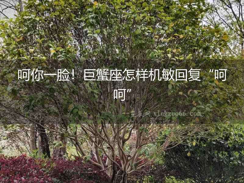 呵你一臉！巨蟹座怎樣機敏回復“呵呵”