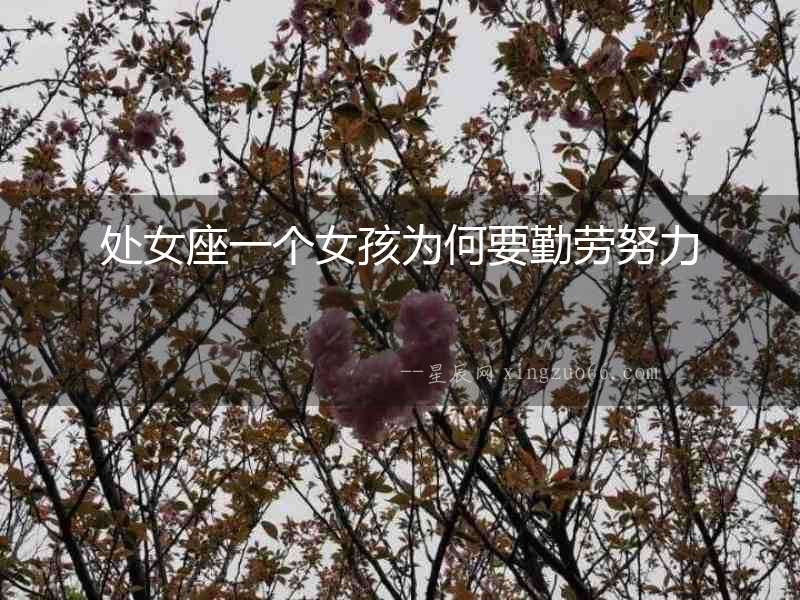 處女座一個(gè)女孩為何要勤勞努力