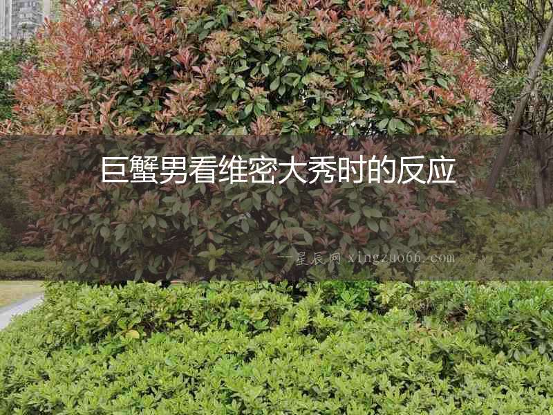 巨蟹男看維密大秀時的反應(yīng)