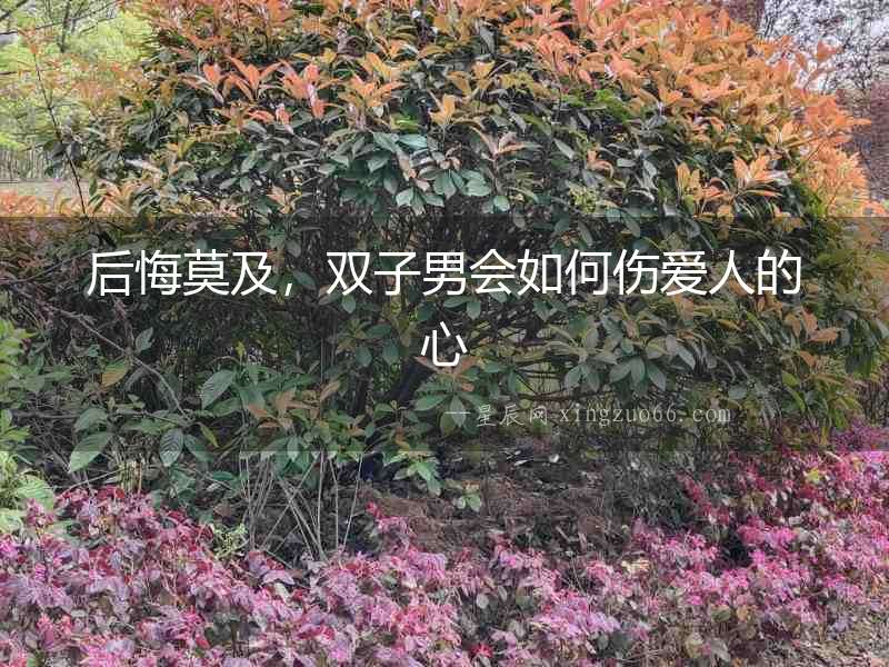 后悔莫及，雙子男會(huì)如何傷愛(ài)人的心