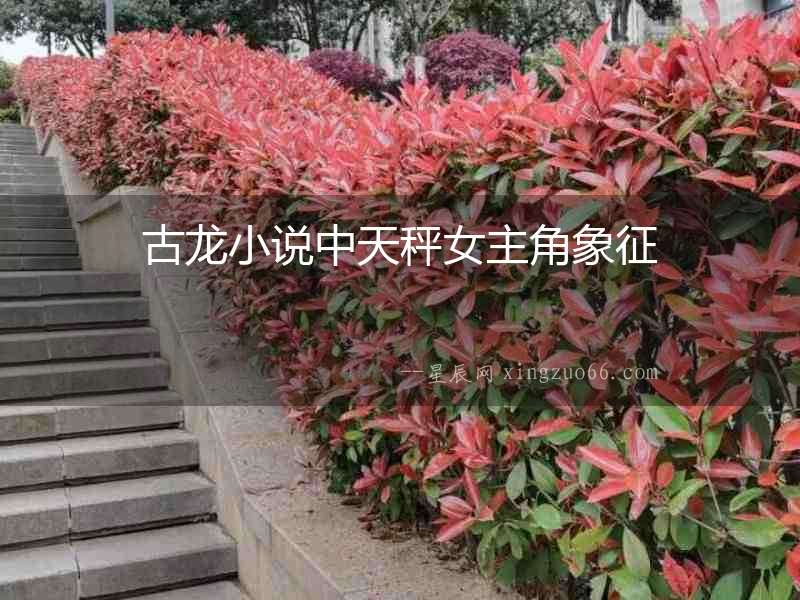 古龍小說中天秤女主角象征