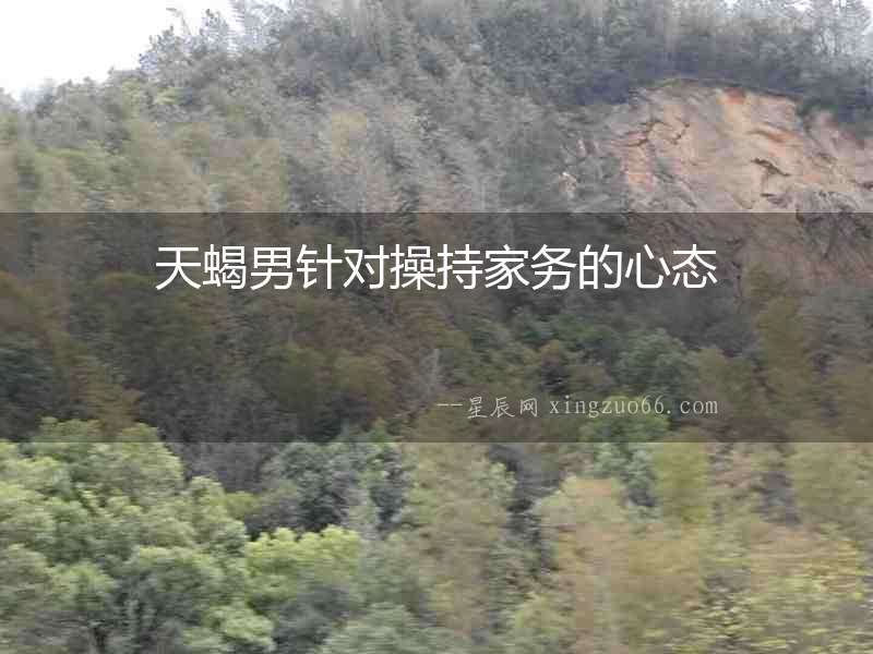 天蝎男針對操持家務的心態