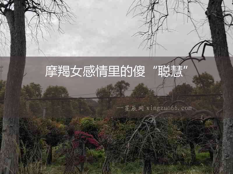 摩羯女感情里的傻“聰慧”