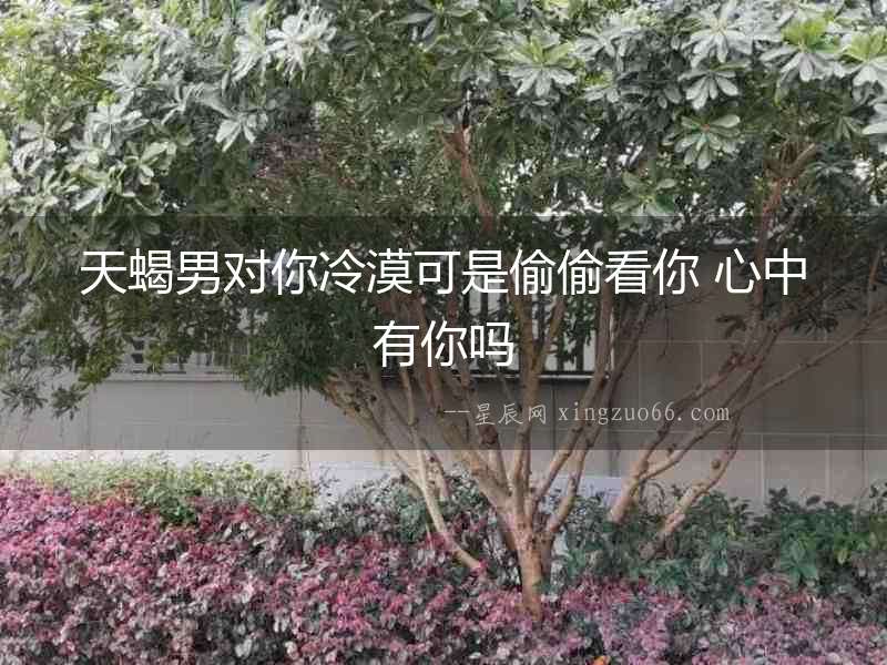 天蝎男對你冷漠可是偷偷看你 心中有你嗎