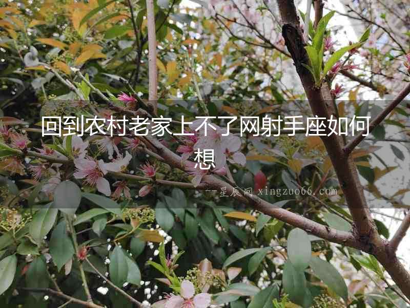 回到農村老家上不了網射手座如何想