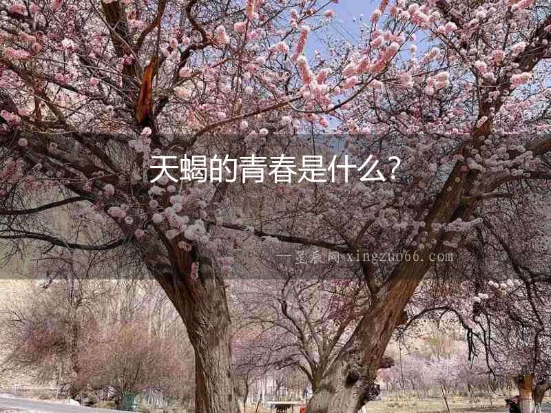 天蝎的青春是什么？