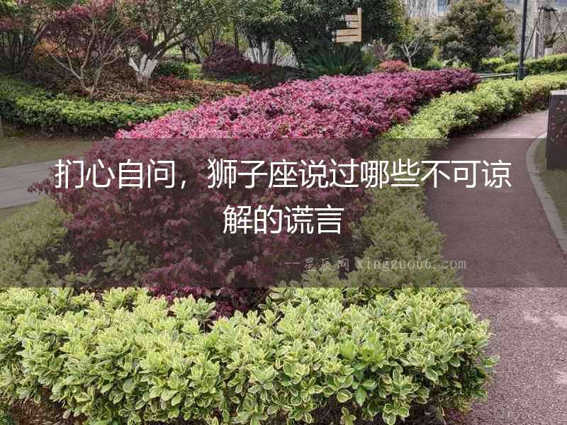 捫心自問，獅子座說過哪些不可諒解的謊言