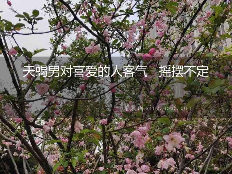 天蝎男對喜愛的人客氣   搖擺不定