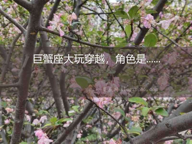 巨蟹座大玩穿越，角色是......