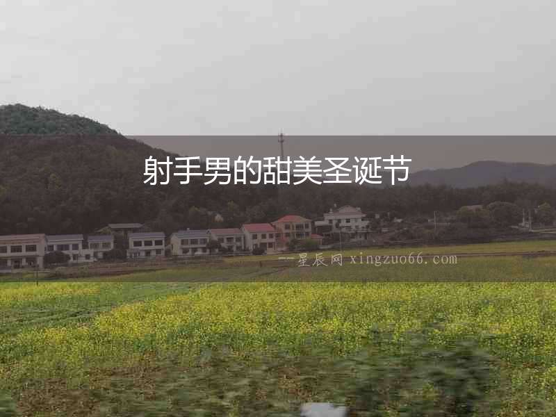 射手男的甜美圣誕節