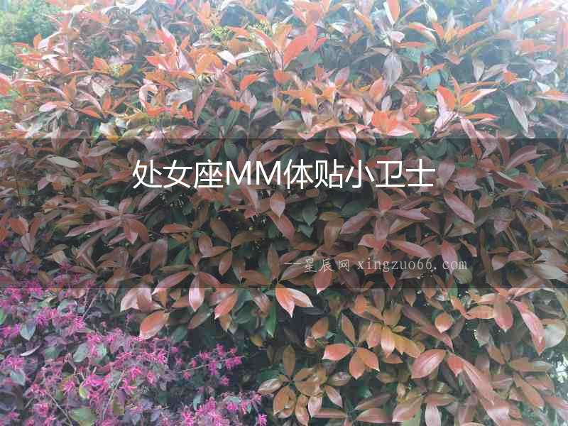 處女座MM體貼小衛(wèi)士