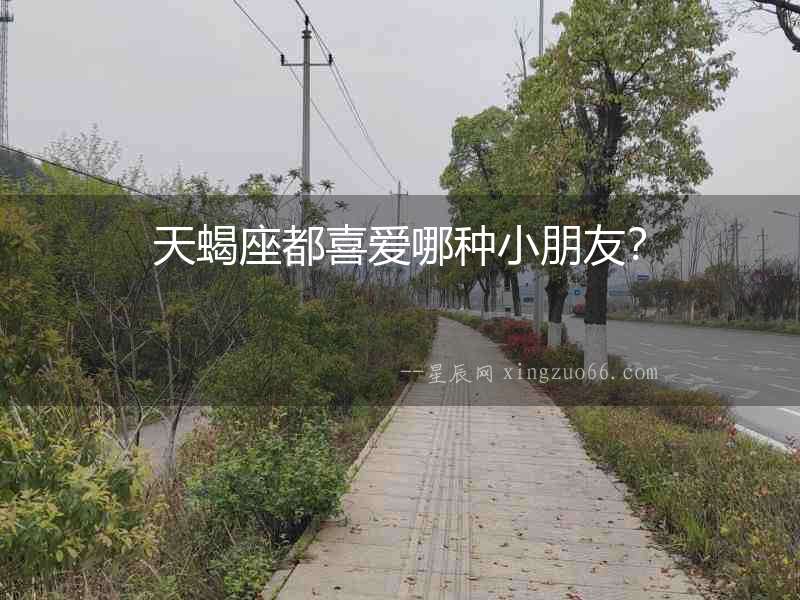 天蝎座都喜愛哪種小朋友？