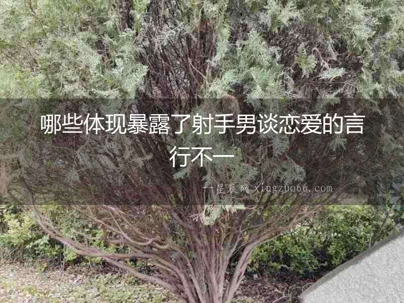 哪些體現(xiàn)暴露了射手男談戀愛的言行不一