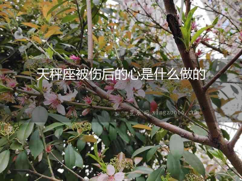 天秤座被傷后的心是什么做的