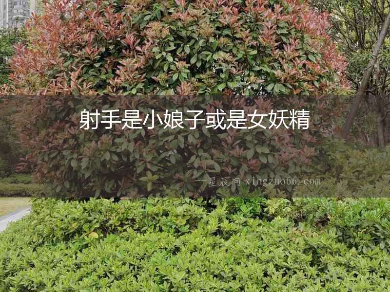射手是小娘子或是女妖精