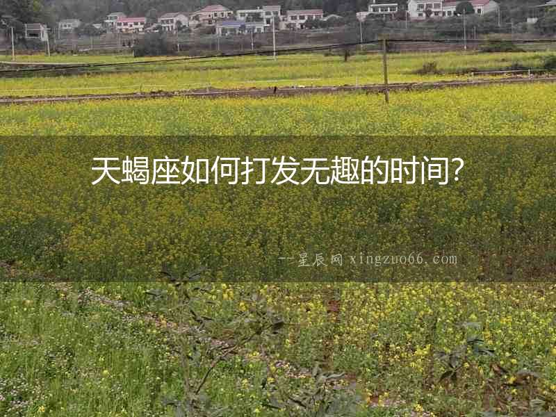 天蝎座如何打發(fā)無趣的時(shí)間？