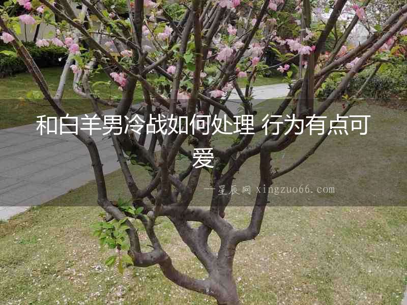 和白羊男冷戰如何處理 行為有點可愛