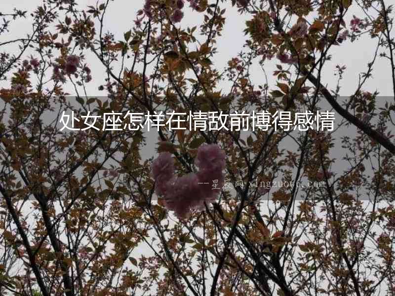 處女座怎樣在情敵前博得感情