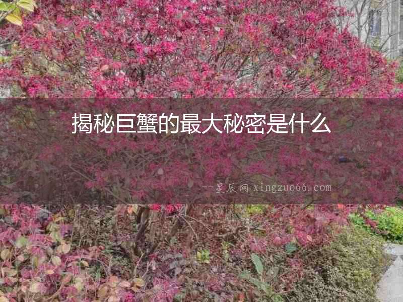 揭秘巨蟹的最大秘密是什么