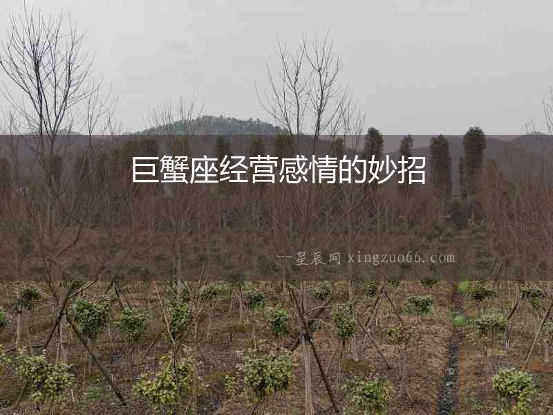 巨蟹座經(jīng)營(yíng)感情的妙招