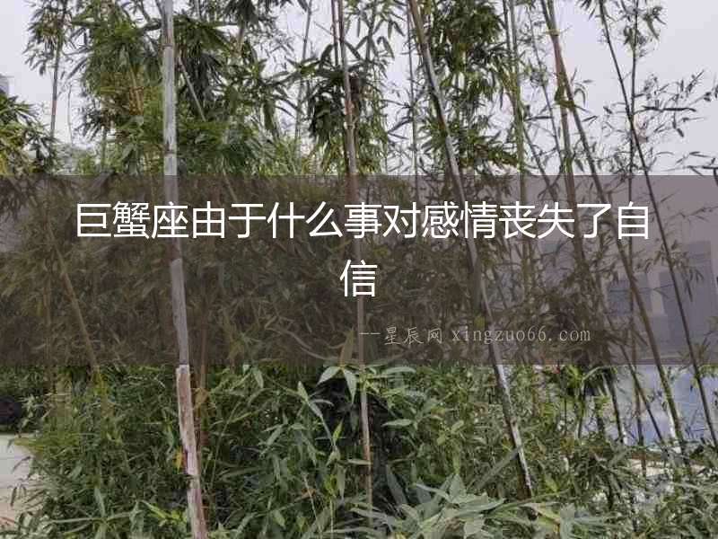 巨蟹座由于什么事對感情喪失了自信