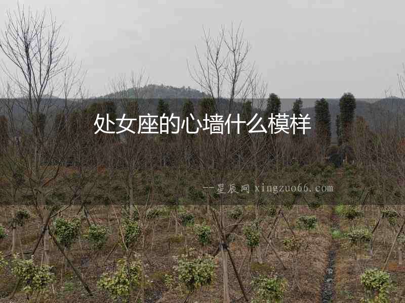 處女座的心墻什么模樣