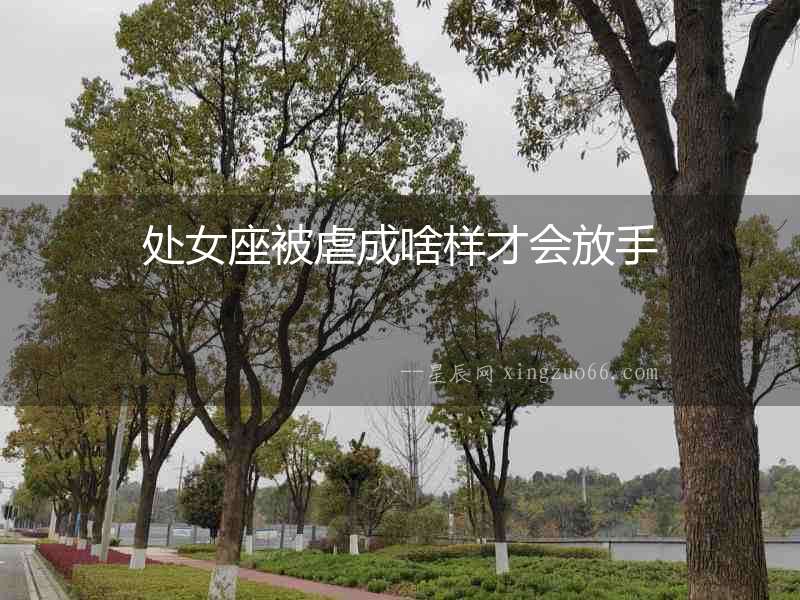 處女座被虐成啥樣才會放手