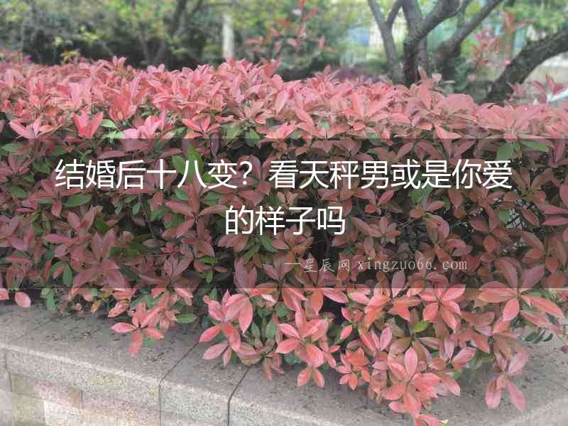 結婚后十八變？看天秤男或是你愛的樣子嗎