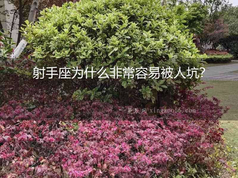 射手座為什么非常容易被人坑？