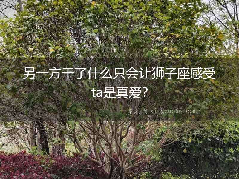 另一方干了什么只會讓獅子座感受ta是真愛？