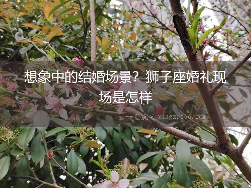 想象中的結婚場景？獅子座婚禮現場是怎樣