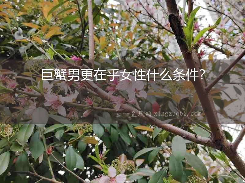 巨蟹男更在乎女性什么條件？