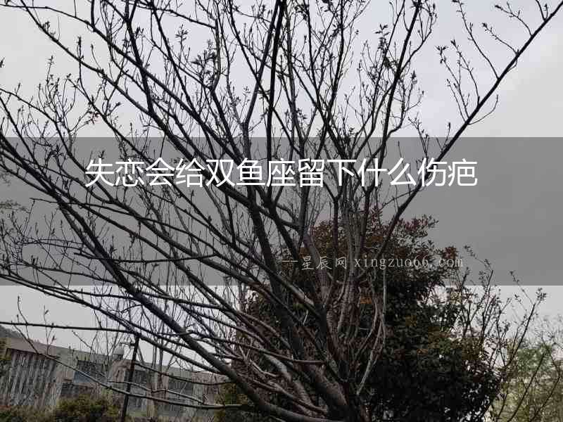 失戀會(huì)給雙魚(yú)座留下什么傷疤