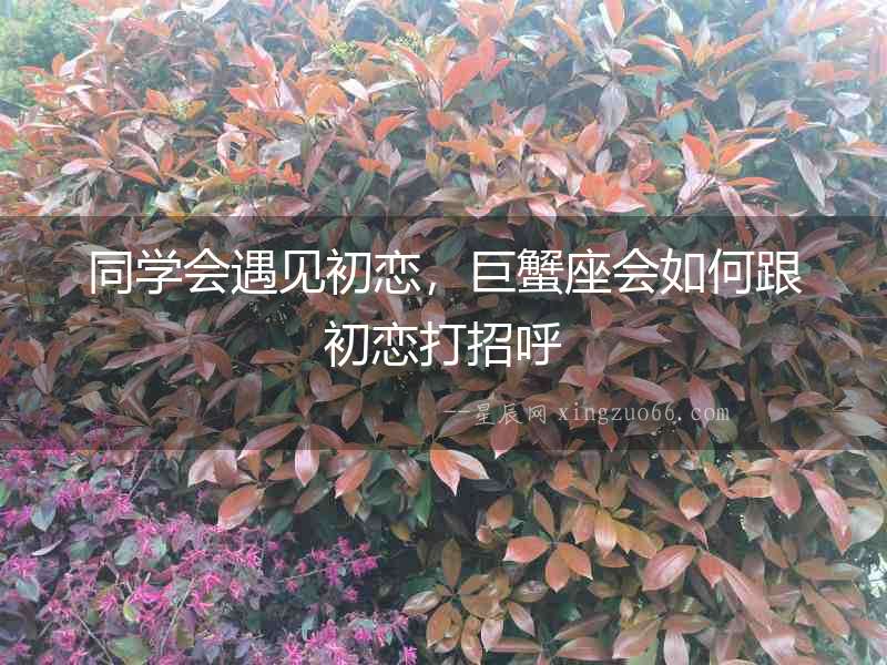 同學(xué)會(huì)遇見(jiàn)初戀，巨蟹座會(huì)如何跟初戀打招呼