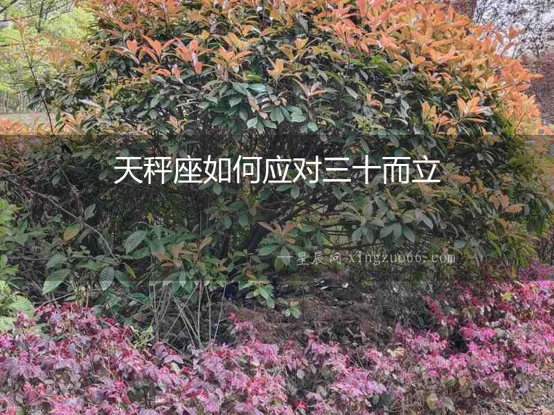 天秤座如何應(yīng)對(duì)三十而立