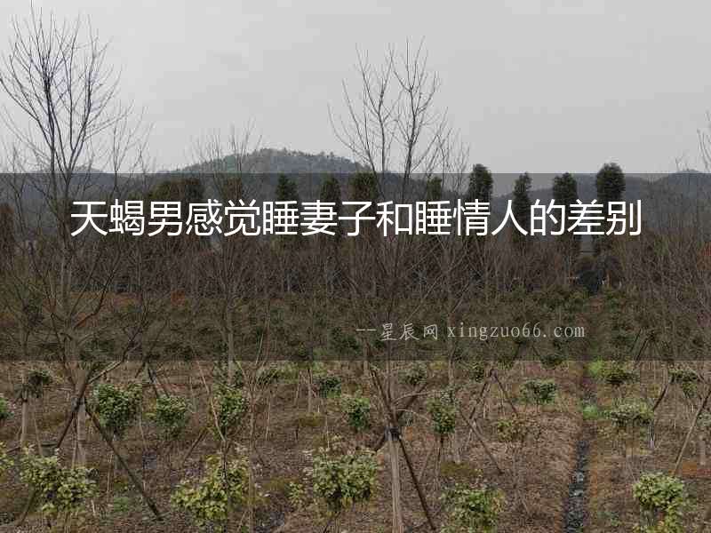 天蝎男感覺(jué)睡妻子和睡情人的差別