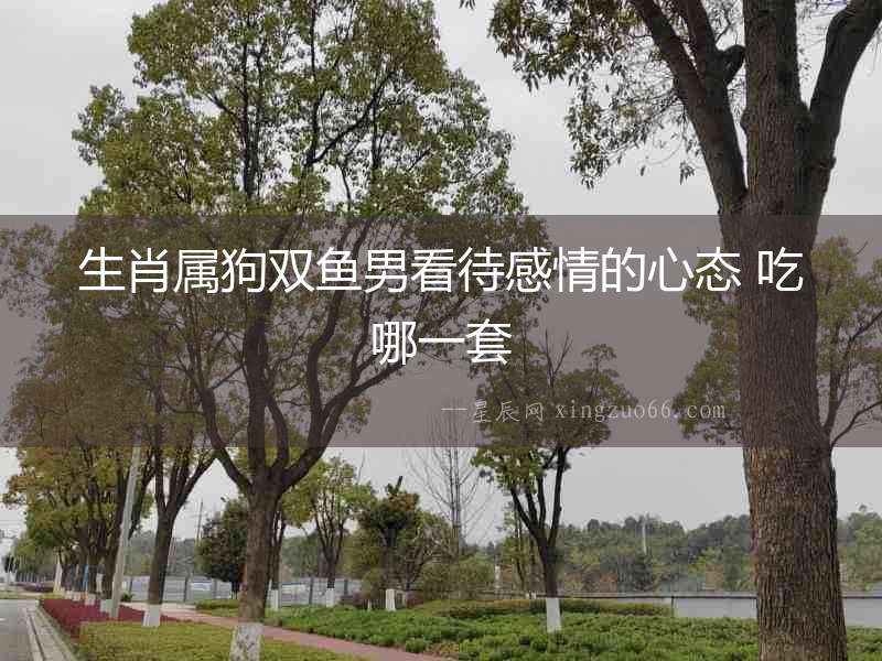 生肖屬狗雙魚男看待感情的心態 吃哪一套