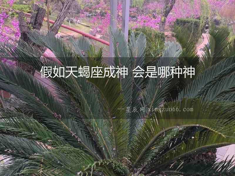 假如天蝎座成神 會是哪種神