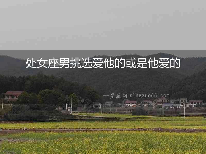 處女座男挑選愛他的或是他愛的