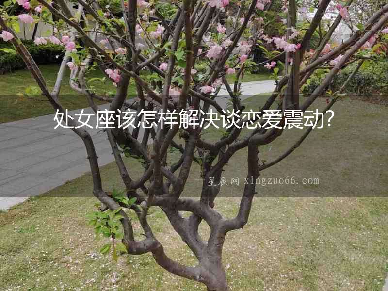 處女座該怎樣解決談戀愛震動？