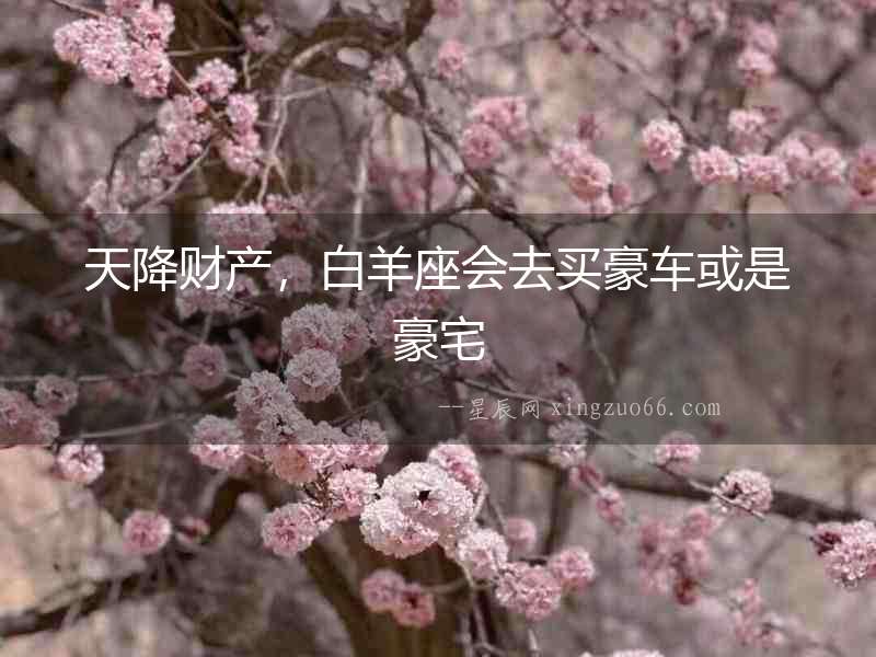 天降財產，白羊座會去買豪車或是豪宅