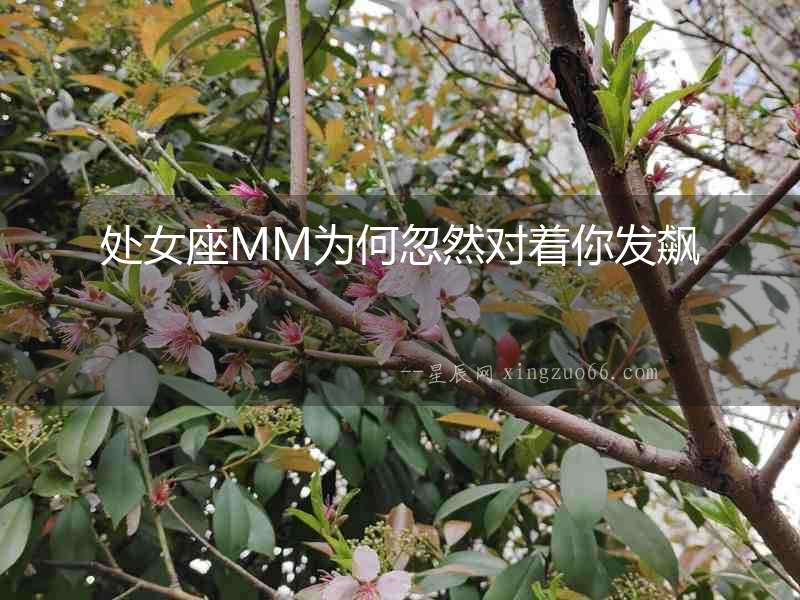 處女座MM為何忽然對著你發飆