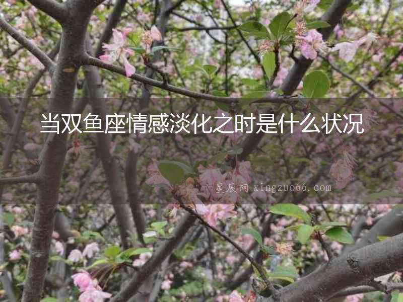 當雙魚座情感淡化之時是什么狀況