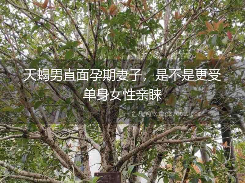 天蝎男直面孕期妻子，是不是更受單身女性親睞